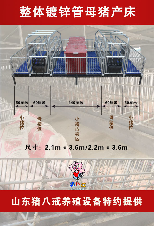 母豬產床