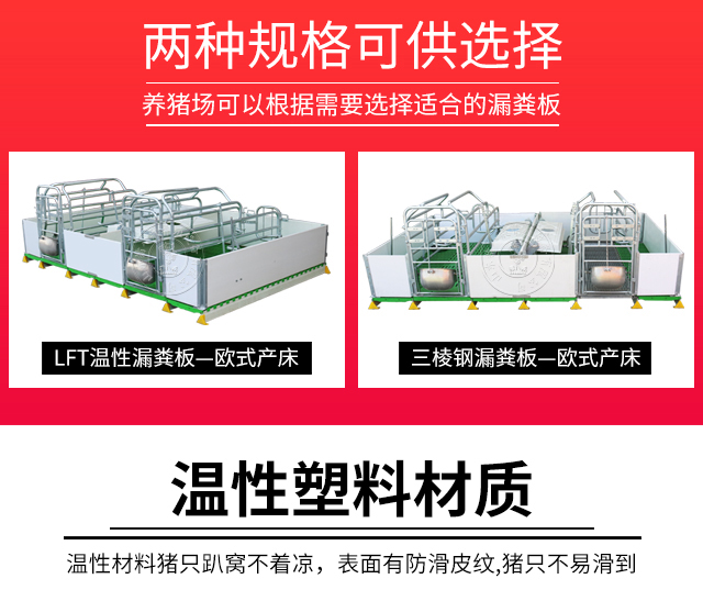 歐式母豬產床